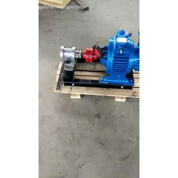 2CY stainless steel pump vegetable oil transfer gear pump high pressure pump